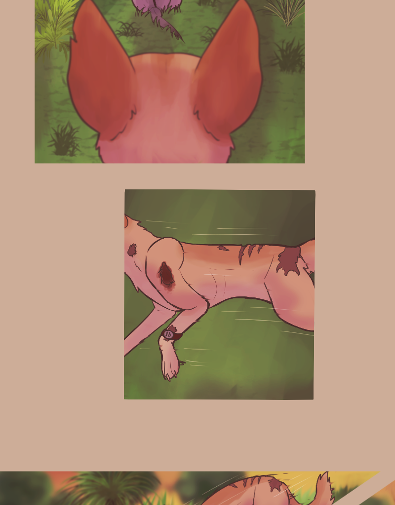 Image 2 Cut